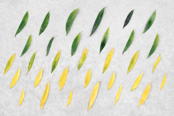 Gestion du changement en entreprise : 10 étapes essentielles pour des projets réussis et une transition numérique efficace